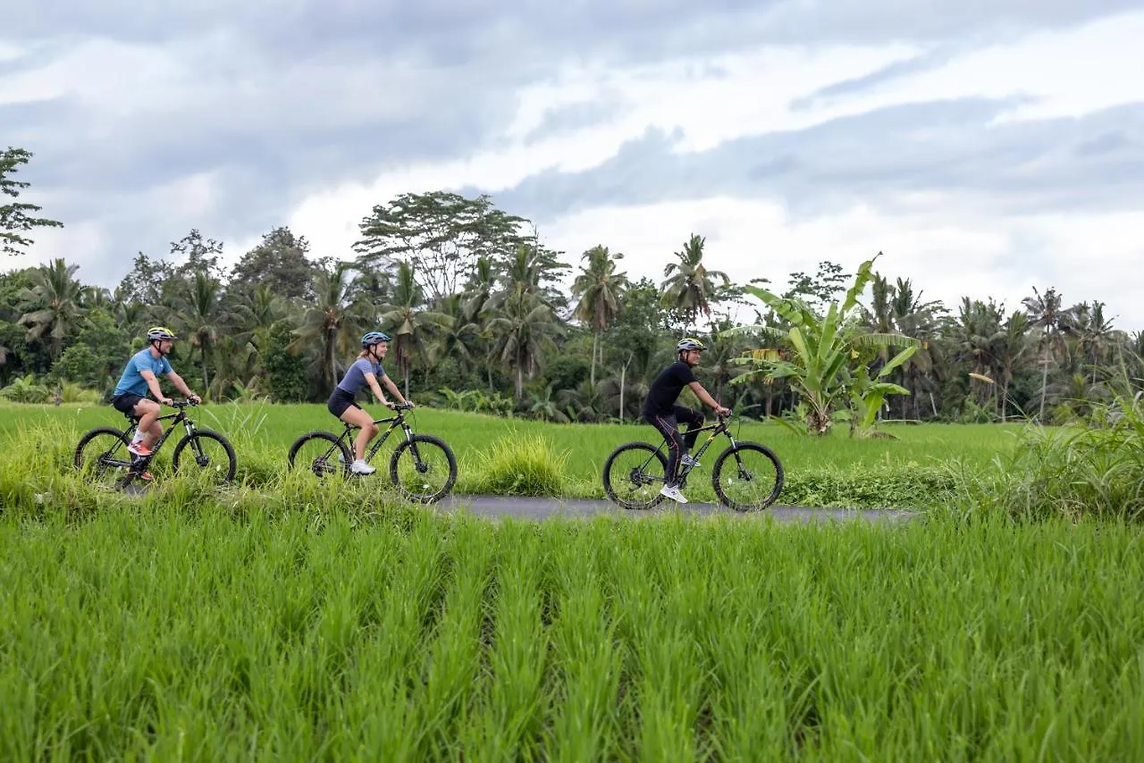 The Kayon Valley Resort Ubud  0*, Ubud (Bali)